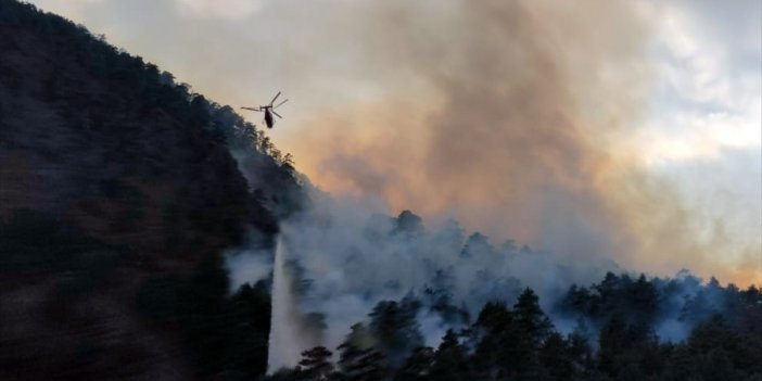 Adana'nın Alaçam ilçesinde orman yangını