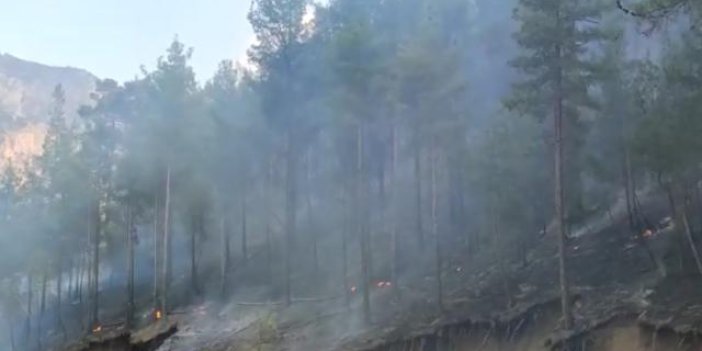 Adana'daki orman yangını kontrol altında