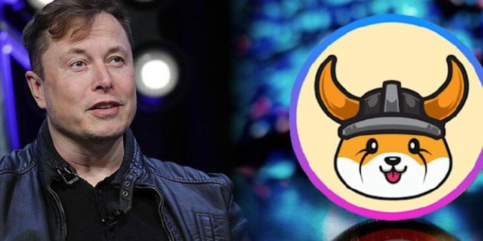 Floki Inu, Elon Musk etkisiyle yükseldi