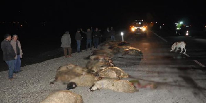 Minibüs koyun sürüsüne daldı: 34 koyun öldü