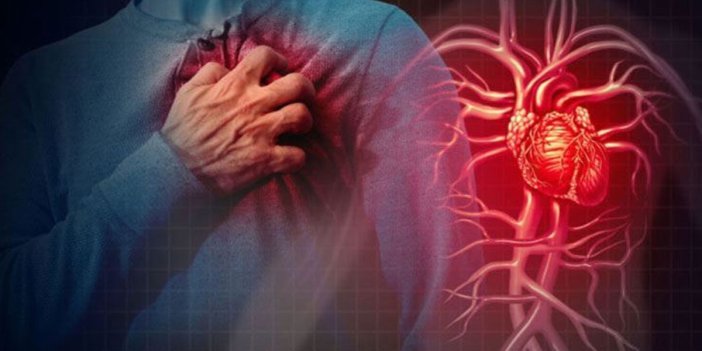 Kalp krizi riskini azaltıyor. 6 senelik araştırma sonucunda ortaya çıktı
