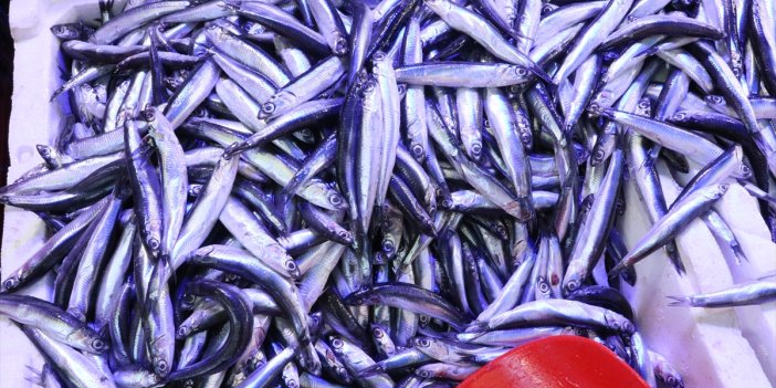 Samsun'da kötü hava balık fiyatlarını vurdu