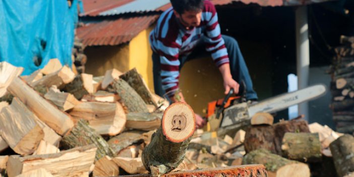 Trabzon'da odunu kesti bu defa ayı yavrusu figürü çıktı