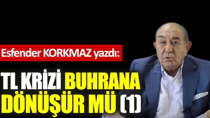 TL krizi buhrana dönüşür mü (1)