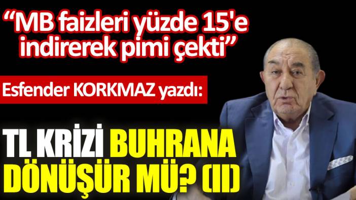 TL krizi buhrana dönüşür mü? (II)