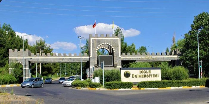 Dicle Üniversitesi Öğretim Üyesi alıyor