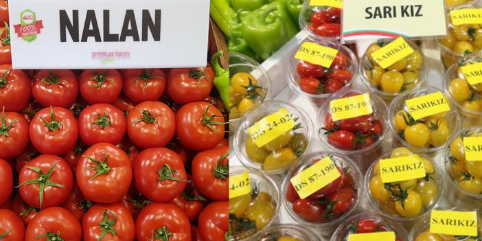 Üreticiler domateslere neden kadın ismi verildiğini açıkladı. Erkekler çok kızacak