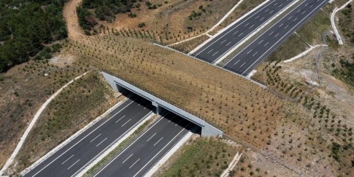 Ekolojik köprüler yaban hayvanlarına nefes oldu