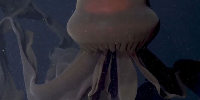 'Dev hayalet'in yeni görüntüleri ortaya çıktı. 10 metrelik kolları ağzından çıkıyor