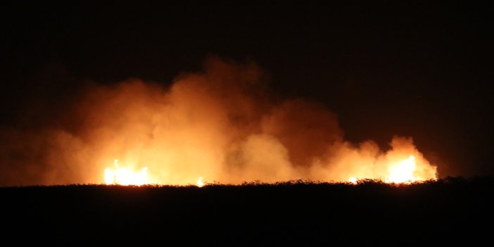 Sultan Sazlığı Milli Parkı'nda yangın çıktı