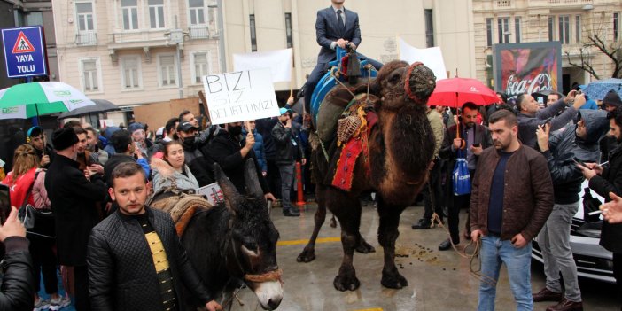 İstanbul'da develi protesto. Görenler gözlerine inanamadı