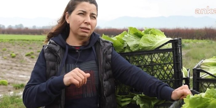 Aydın Büyükşehir Belediyesi çiftçilere alım desteğini sürdürüyor