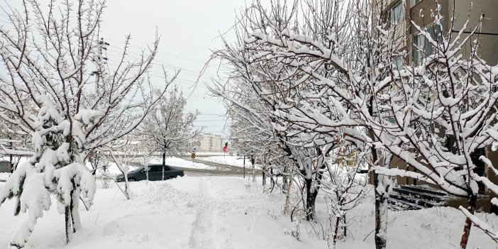 Bitlis'te, 50 köy yolu kardan kapandı
