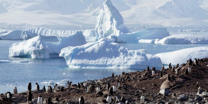 Antarktika'da yeni keşif