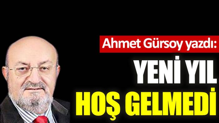 Yeni yıl hoş gelmedi