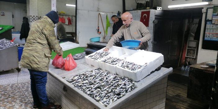 Zonguldak'ta balık fiyatları arttı