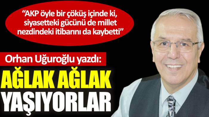 Ağlak ağlak yaşıyorlar