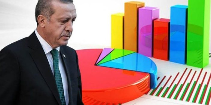 Cumhur İttifakı'nda kriz çıkaracak anket. Sonuçları görür görmez Erdoğan Bahçeli'yi arayacak!