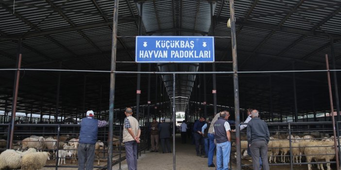 Kütahya’da hayvan pazarı küçükbaş hayvan girişlerine kapatıldı