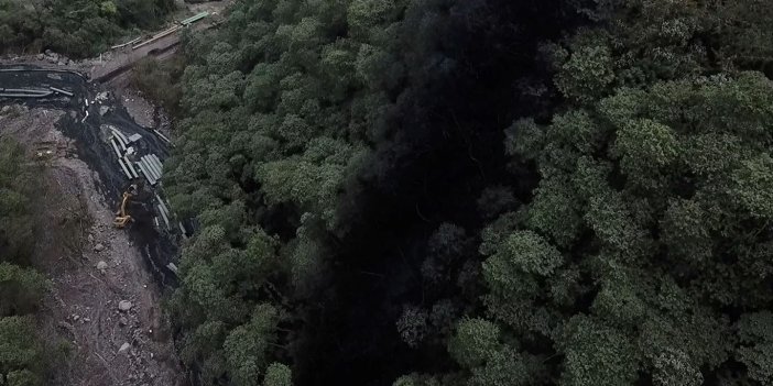 Amazon Ormanları petrole bulandı