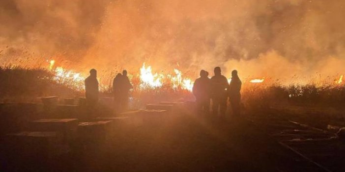 Bursa'da otluk alanda yangın: Müdahale sürüyor