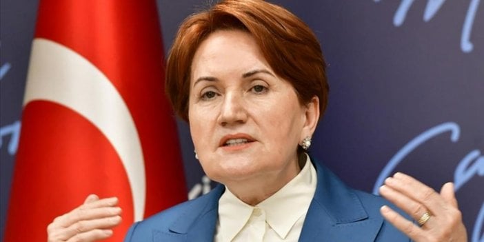 Yaşayan Atatürk kitabının yazarına Meral Akşener'den tebrik