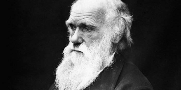 Bilim dünyasını sarsan iddia! Darwin'in teorisi çalıntı mı?