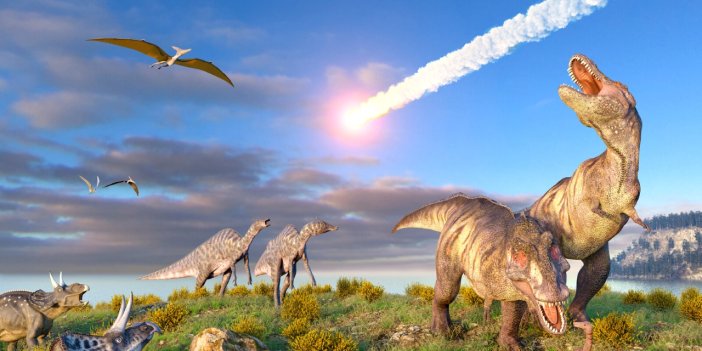 Bilim insanları açıkladı: Dinozor Dolly neden öldü?