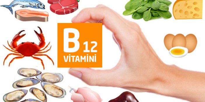İşte B12 vitaminin en fazla bulunduğu besinler