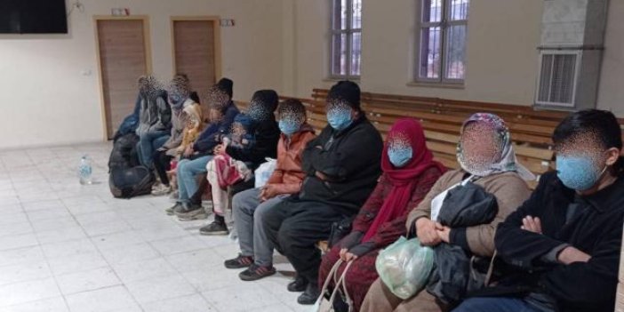 Kırklareli'nde 14 kaçak göçmen yakalandı