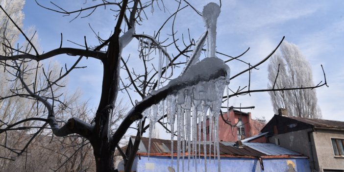 Kars, Ağrı ve Ardahan'da soğukla mücadele sürüyor
