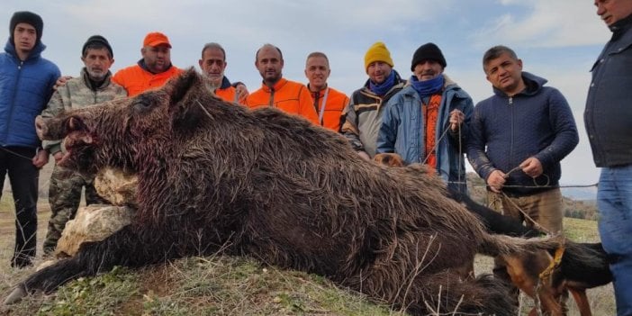 Bilecik’te domuz avında yürekler ağza geldi