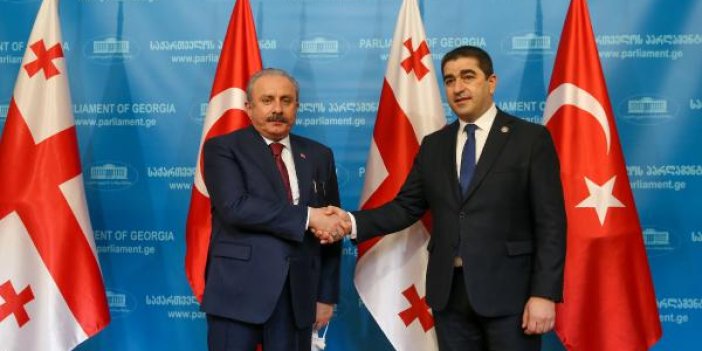 Şentop, Gürcistan Parlamentosu Başkanı ile görüştü