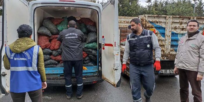 İstanbul'da kaçak avlanan 10 ton midyeye el konuldu