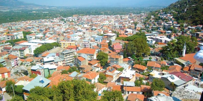 İzmir Kemalpaşa'da 11.124 m² zeytin ekili tarla icradan satılıktır