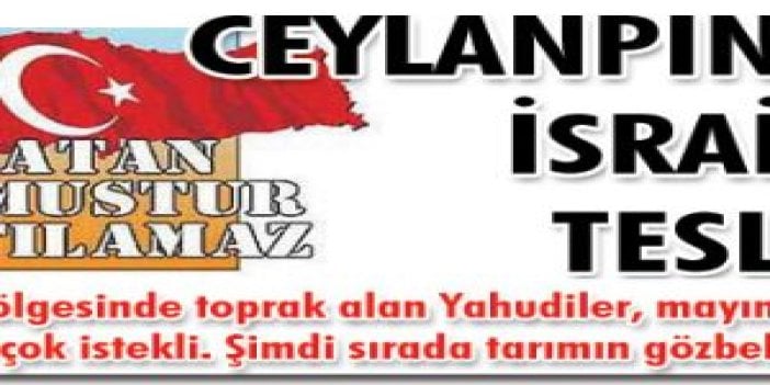 CEYLANPINAR İSRAİL'E TESLİM