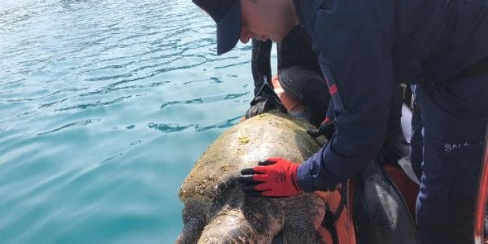 Bu akşam başlayacak. Herkesin hayatını değiştirecek. Balık Yeniayı'nın burçlara etkisi