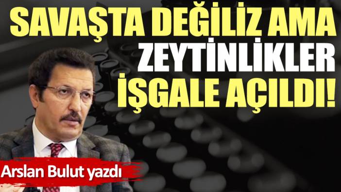 Savaşta değiliz ama zeytinlikler işgale açıldı!