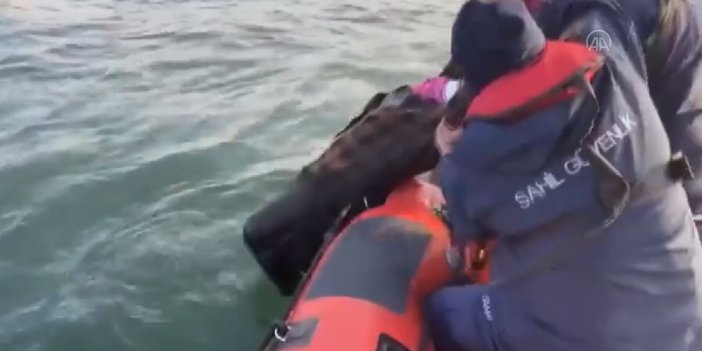 Denize düşen kadın Sahil Güvenlik ekiplerince kurtarıldı