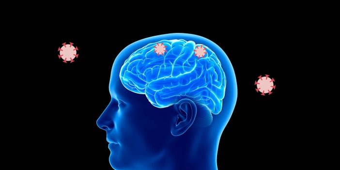 Kovid-19 geçirenlerin beyin boyutunda küçülme gözlemlendi