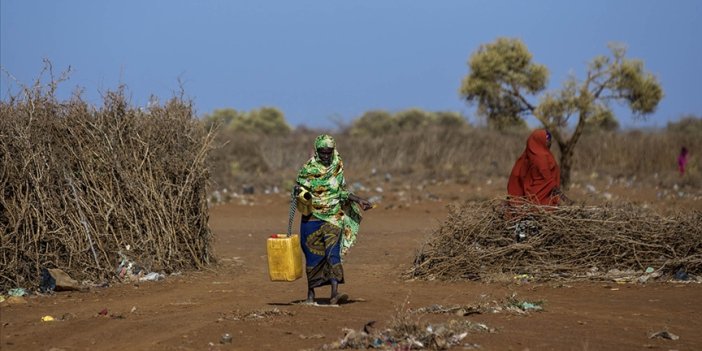 Kuraklıkla boğuşan Somali'den yardım çağrısı
