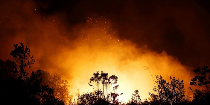 Malezya'daki yangında 700'den fazla ev zarar gördü