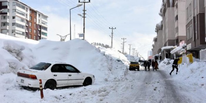 Bitlis'te 116 köy yolu kapandı. 1 ilçede okullar tatil