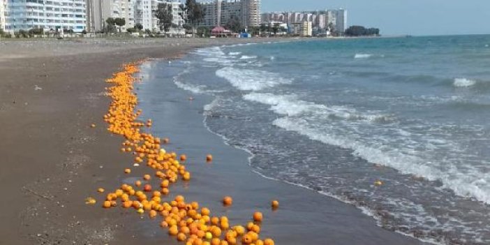 Mersin'de binlerce portakal sahile vurdu. Görenler şok oldu