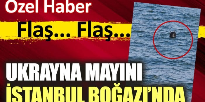 Boğaz’da büyük panik. İstanbul Boğazı'nda Ukrayna mayını