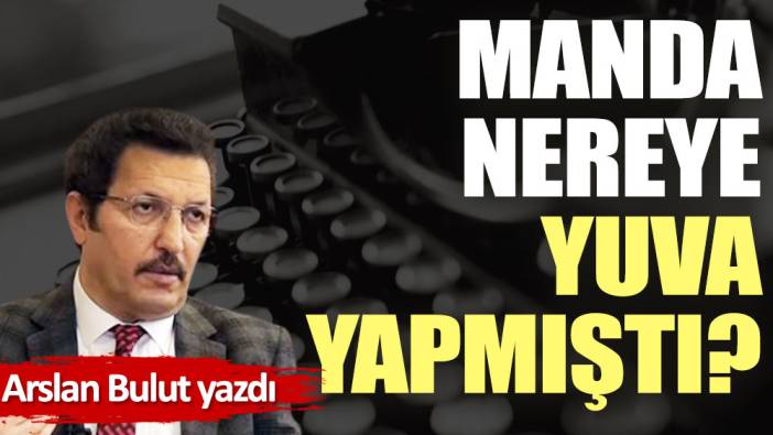 Manda, nereye yuva yapmıştı?