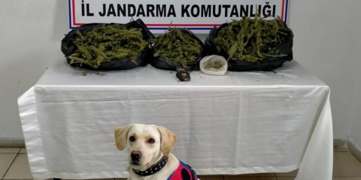 Adana'da uyuşturucu operasyonlarında 2 şüpheli gözaltına alındı