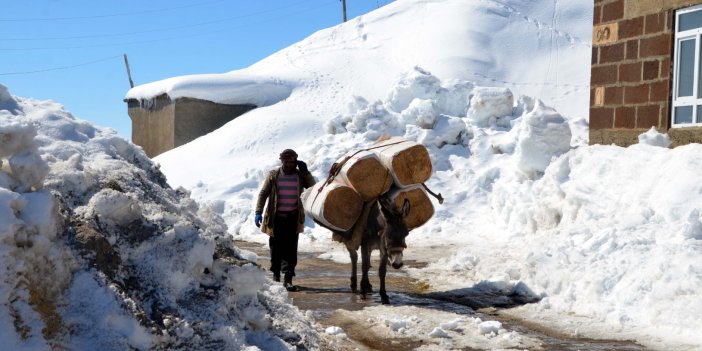 Karla kaplı köylerde zorlu yaşam devam ediyor