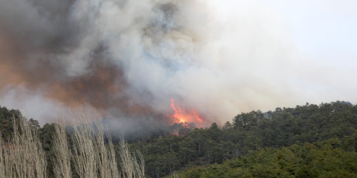 Kocaeli ve Çeşme'nin ardından Bursa'da 2 ayrı orman yangını çıktı!