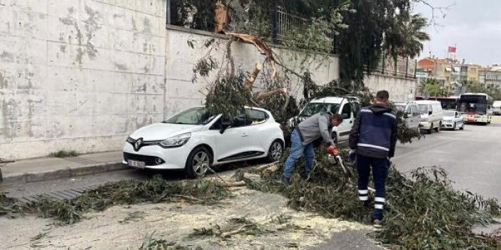 Fırtına İzmir'i vurdu ağaçlar otomobillerin üzerine yıkıldı